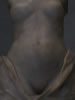 TORSO