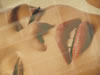 PARIS LIPS 2