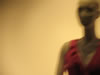 RANDOM RED