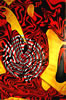 WEONFIRE